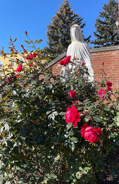 Statue of Mary among roses